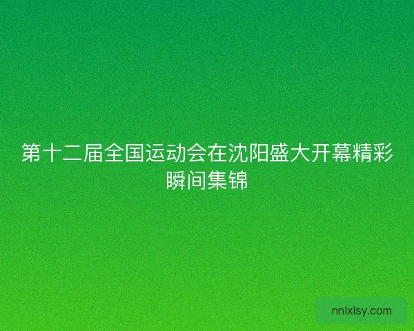 第十二届全国运动会在沈阳盛大开幕精彩瞬间集锦 第十二届全国运动会在沈阳盛大开幕精彩瞬间集锦